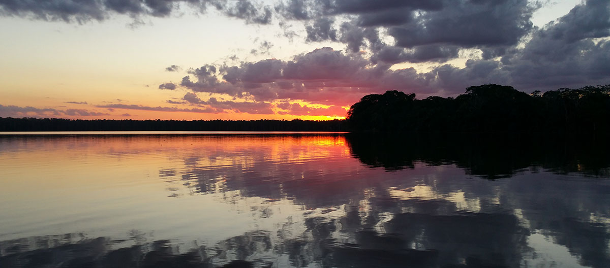 Photo of sunset in the amazon rainforest The sun setting over Tambopata Lake