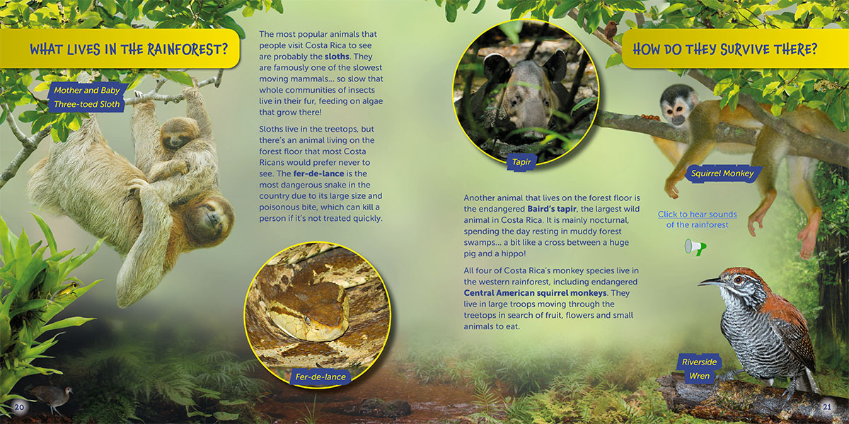 Western Rainforest page of Wildlife of the World - Costa Rica by Hugh Lansdown