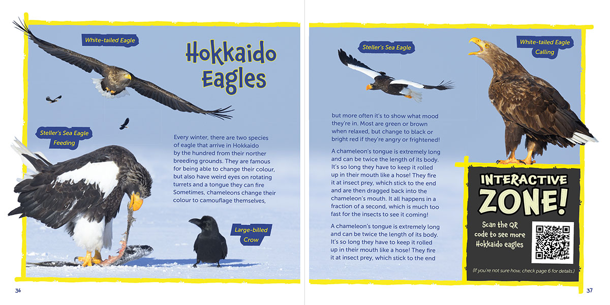 Eagles page of Wildlife of the World: Japan by Hugh Lansdown