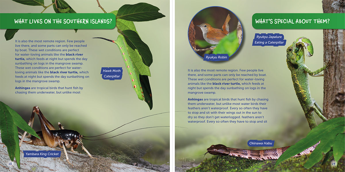 Southern Islands page of Wildlife of the World: Japan by Hugh Lansdown